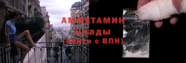 индика Алзамай