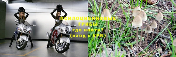 индика Алзамай