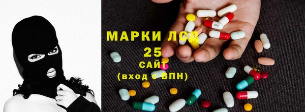 индика Алзамай