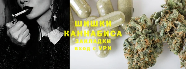 индика Алзамай