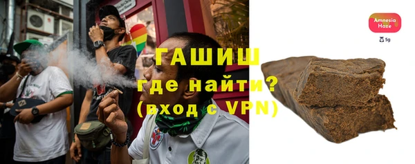 индика Алзамай