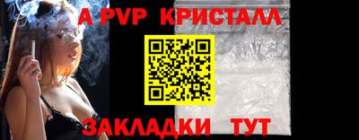 прущие грибы Гусиноозёрск