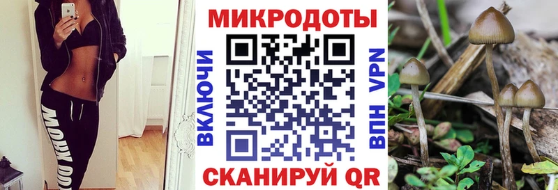 маркетплейс наркотические препараты  Похвистнево  Псилоцибиновые грибы Psilocybine cubensis 