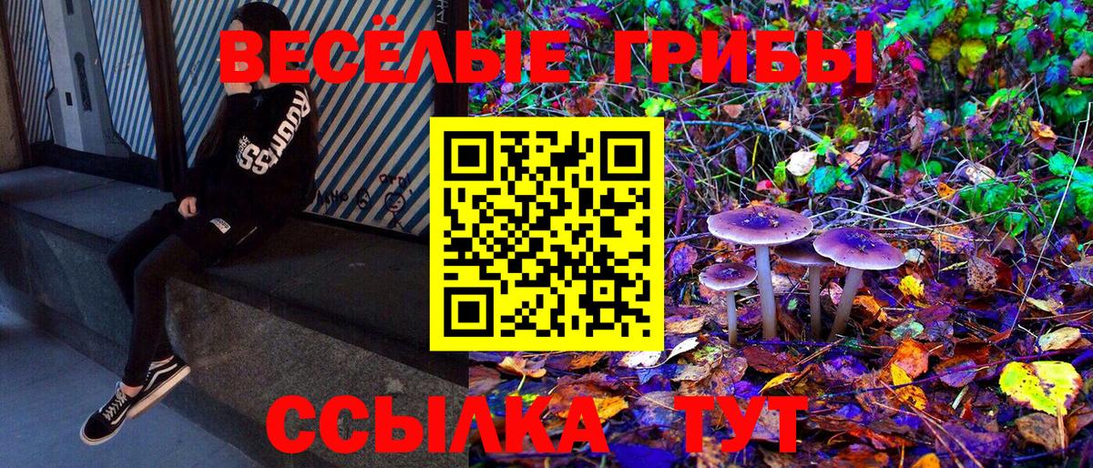 Псилоцибиновые грибы прущие грибы Похвистнево